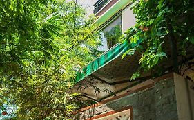 Golden Soulmate Homestay