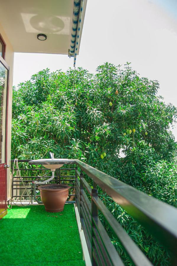 Golden Soulmate Homestay ホイアン エクステリア 写真